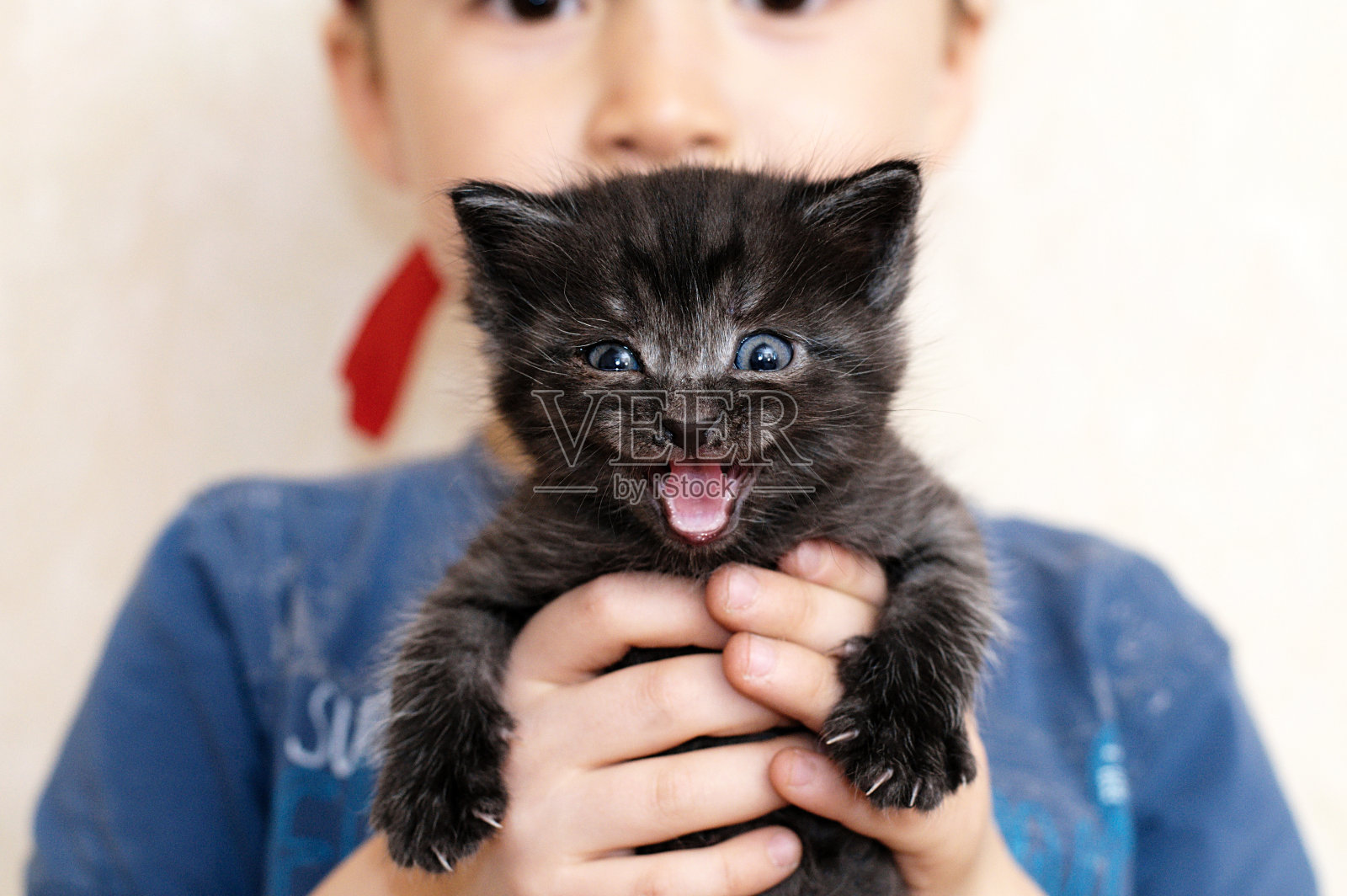 喵喵的小黑猫在男孩的手中照片摄影图片