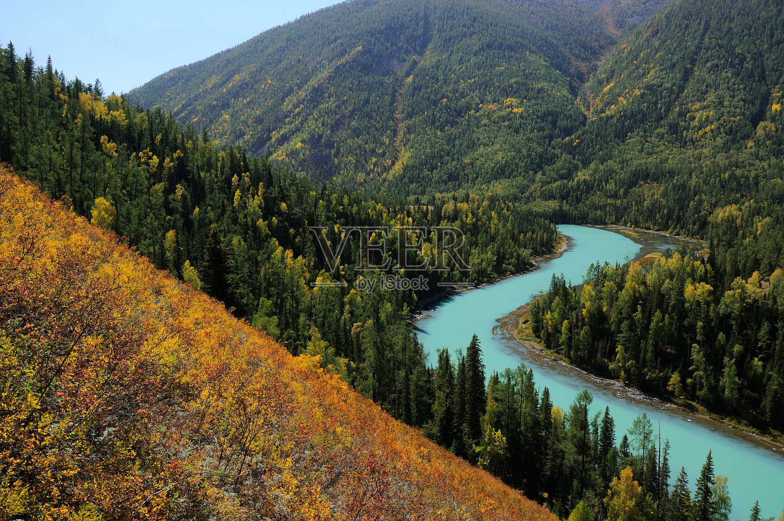 中国新疆喀纳斯公园，一条穿过森林的新月形河流照片摄影图片