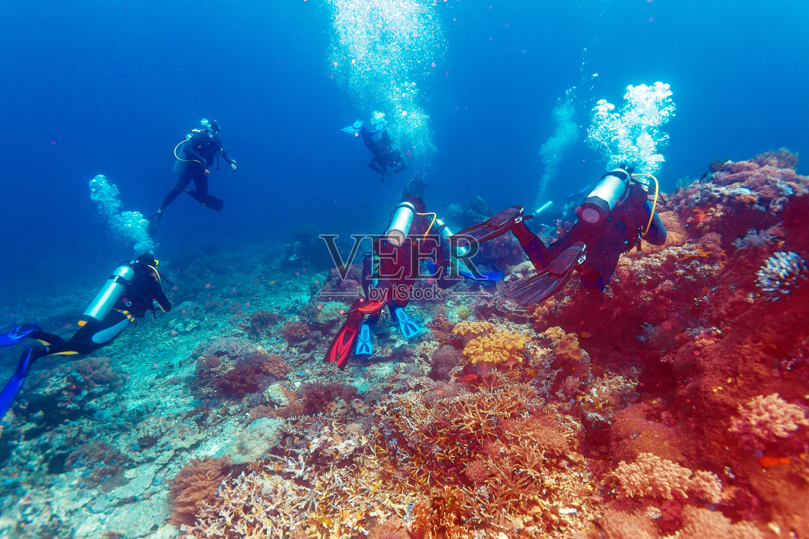 一群潜入深海的潜水员照片摄影图片