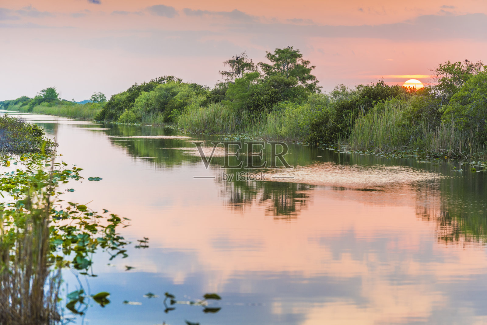 佛罗里达大沼泽地日落湿地水渠景观照片摄影图片