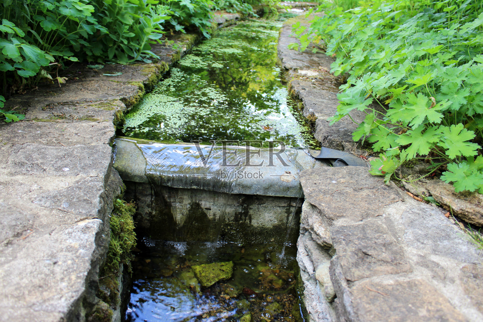 小人工溪流通向瀑布/池塘，水花园的形象照片摄影图片