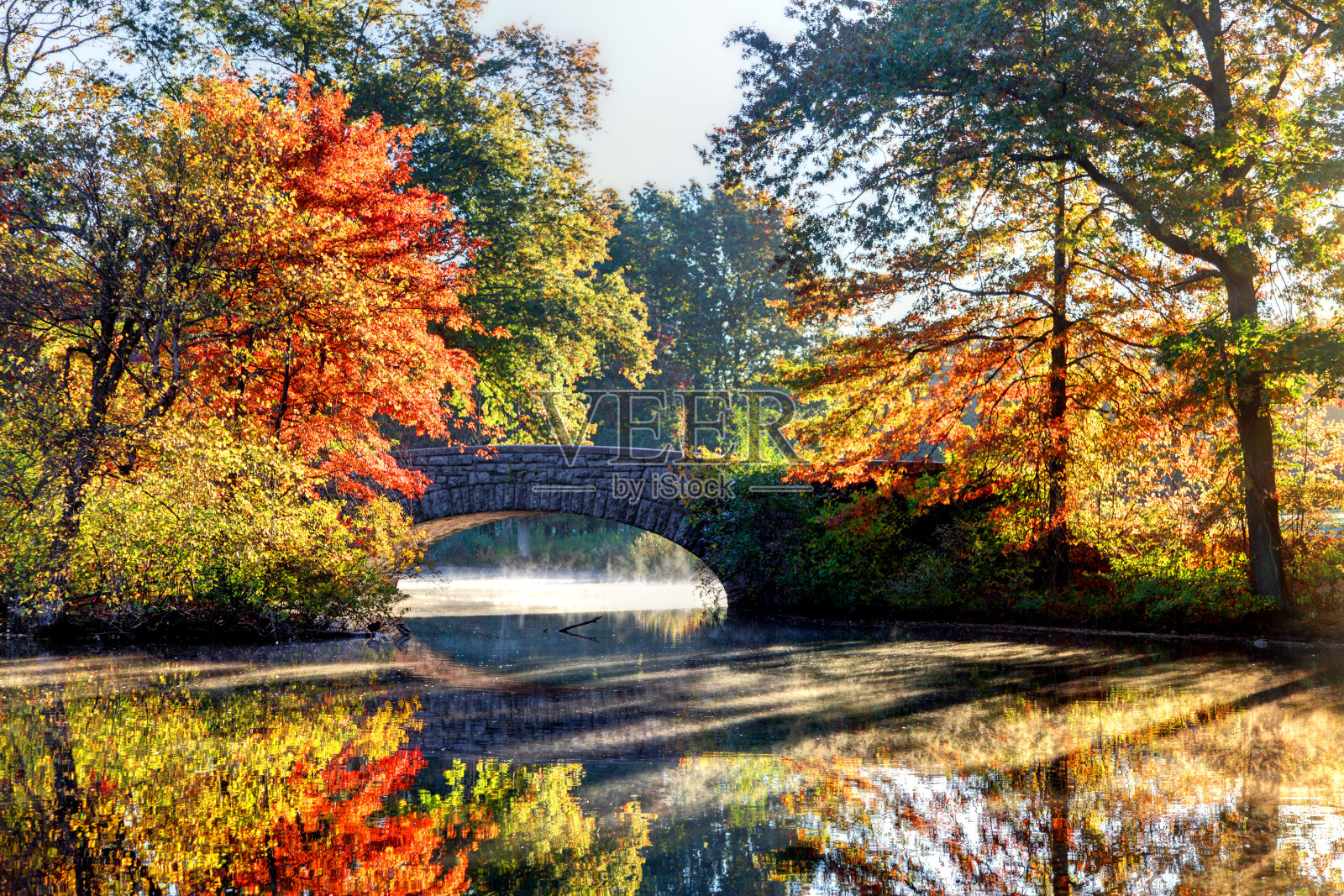 波士顿多切斯特社区的秋天照片摄影图片