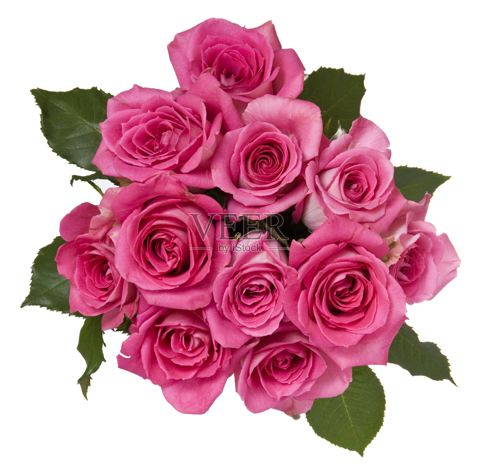 母亲节的玫瑰花束照片摄影图片