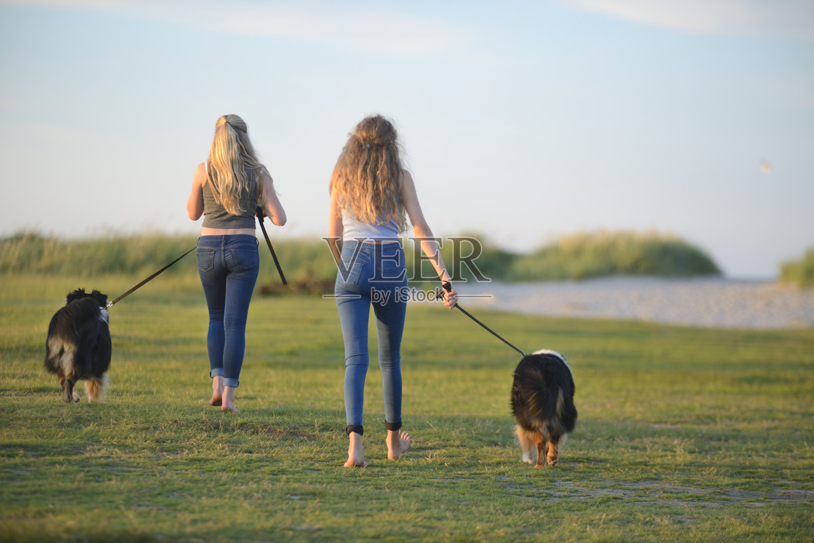 两个十几岁的女孩带着牧羊犬在沙丘上走照片摄影图片