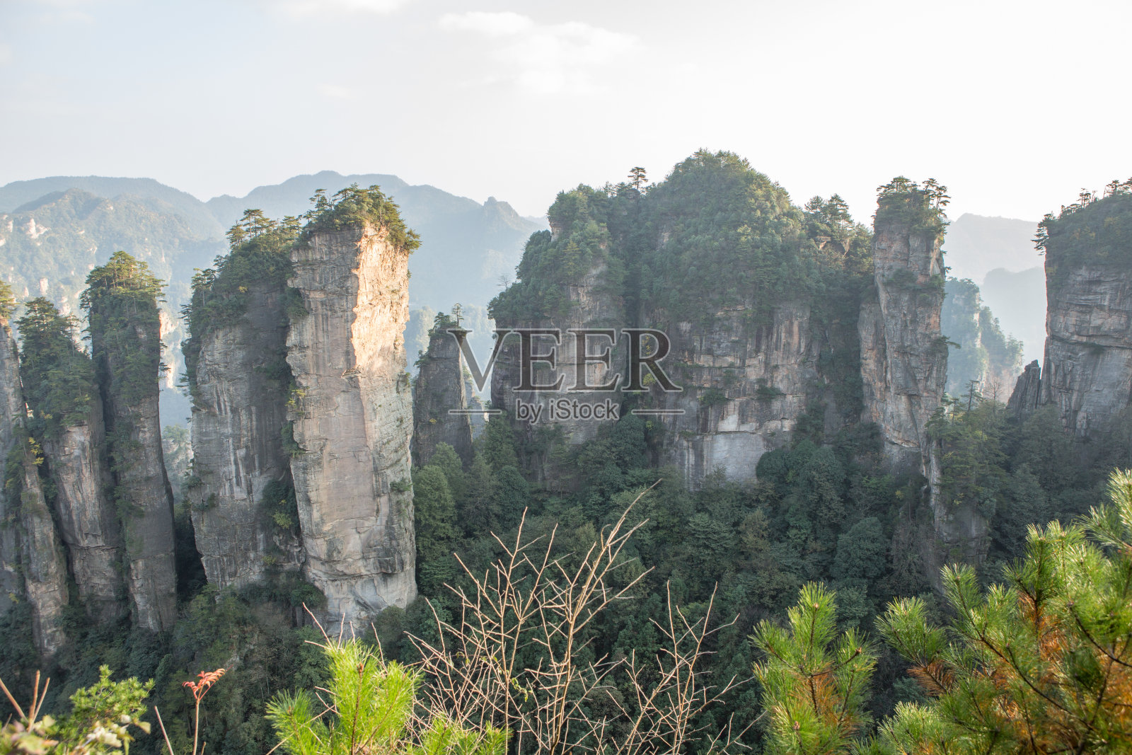 砂岩柱，张家界国家森林公园，中国照片摄影图片