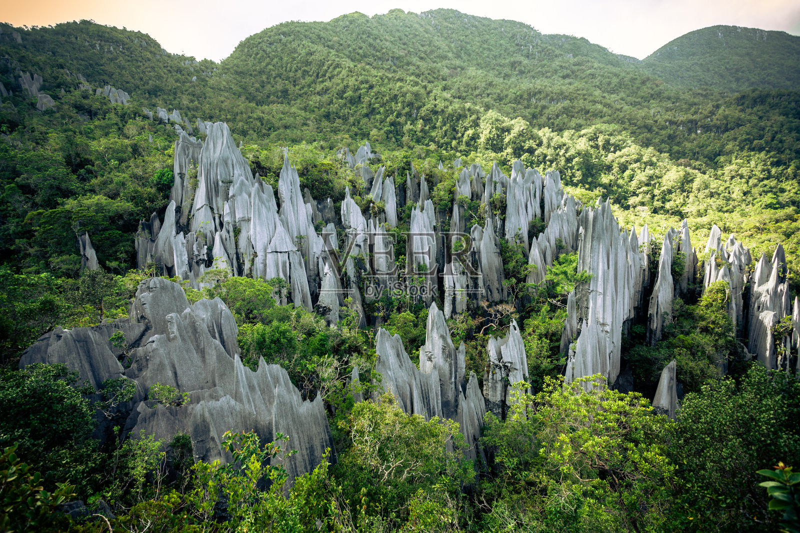 古农木鲁国家公园的尖峰岩层照片摄影图片