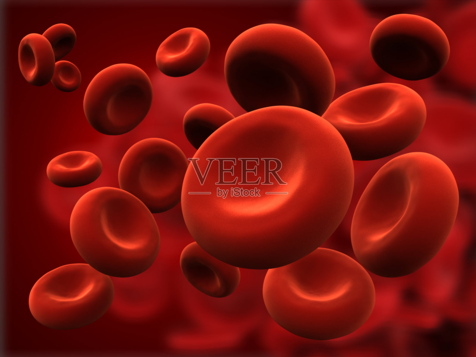 血细胞插画图片素材