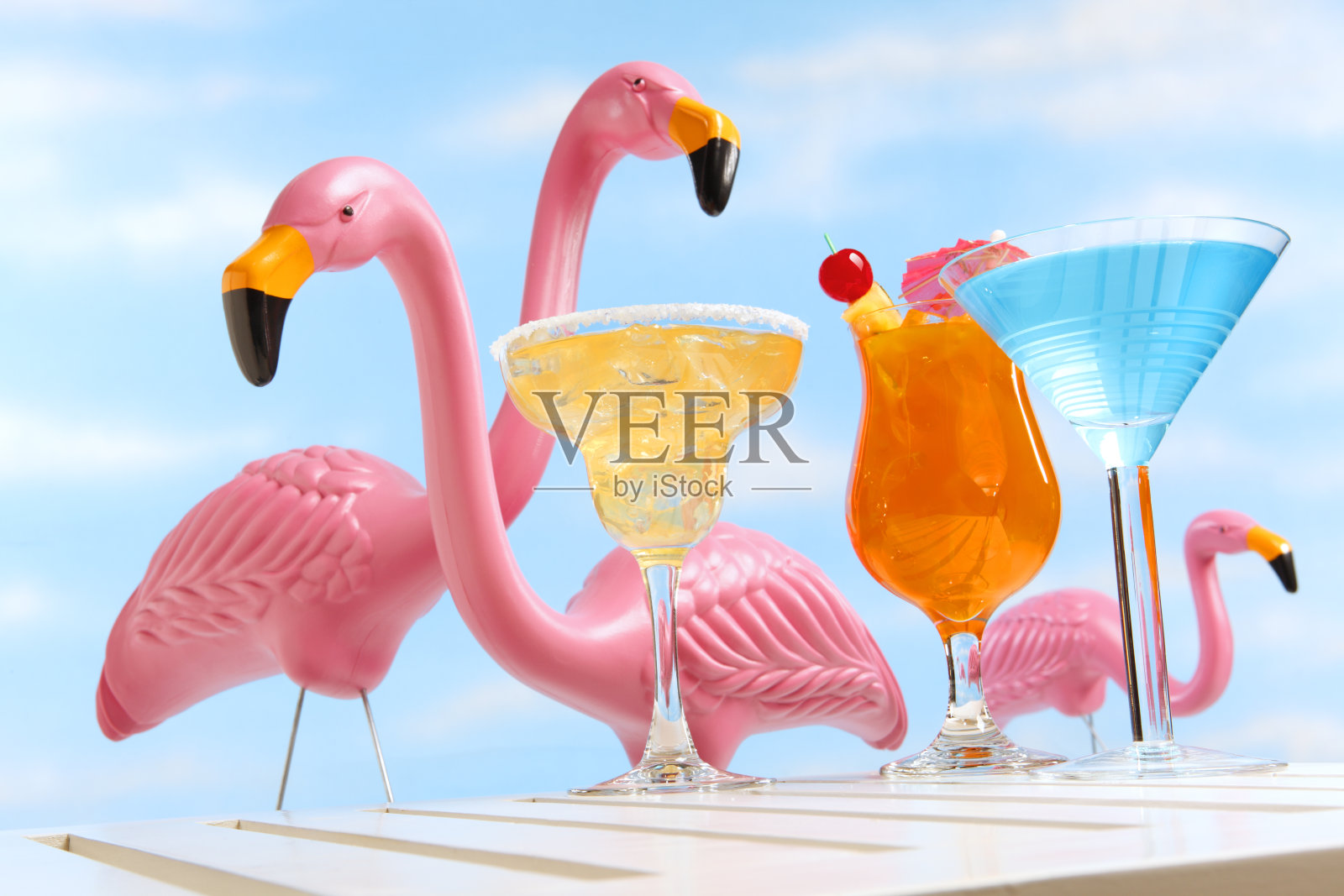 在三只粉红色火烈鸟面前喝着热带饮料照片摄影图片