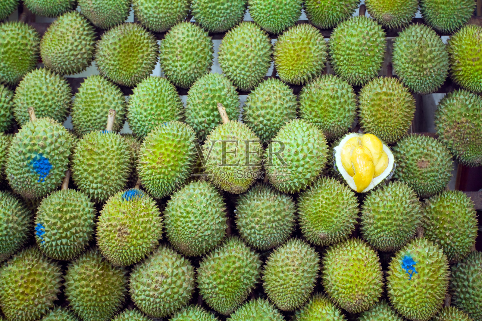 新加坡水果之王榴莲照片摄影图片