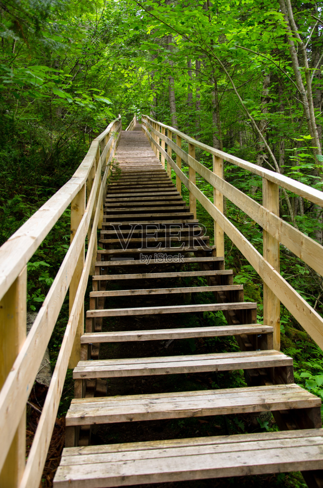 楼梯，台阶，小径，山，河段，森林，山径照片摄影图片