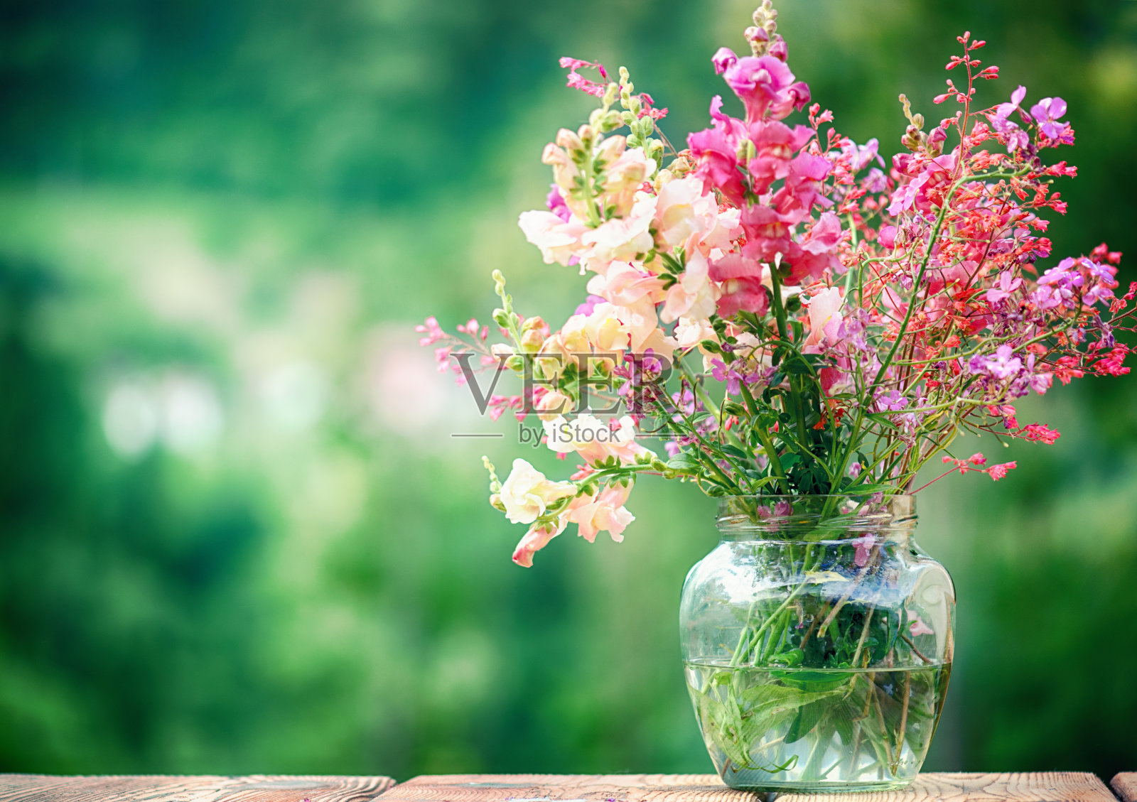 绿色背景上的玻璃花瓶里的野花照片摄影图片