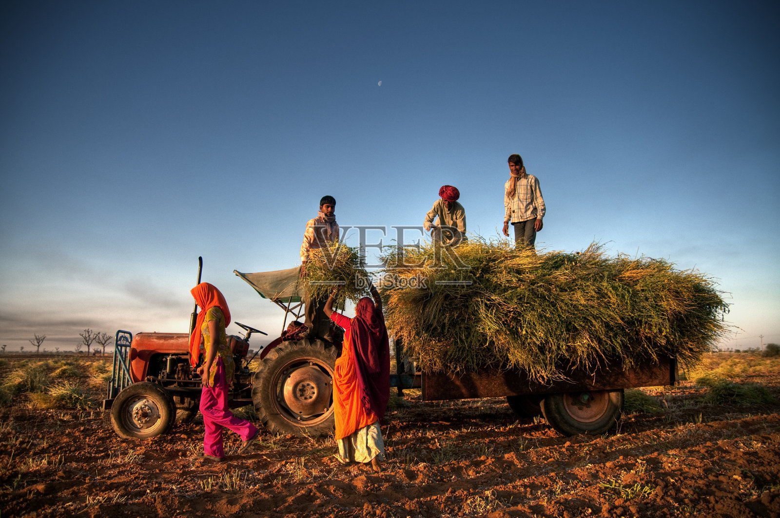 印度农业照片摄影图片