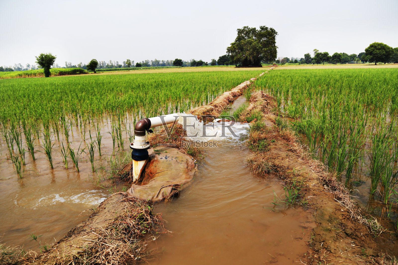管井灌溉照片摄影图片