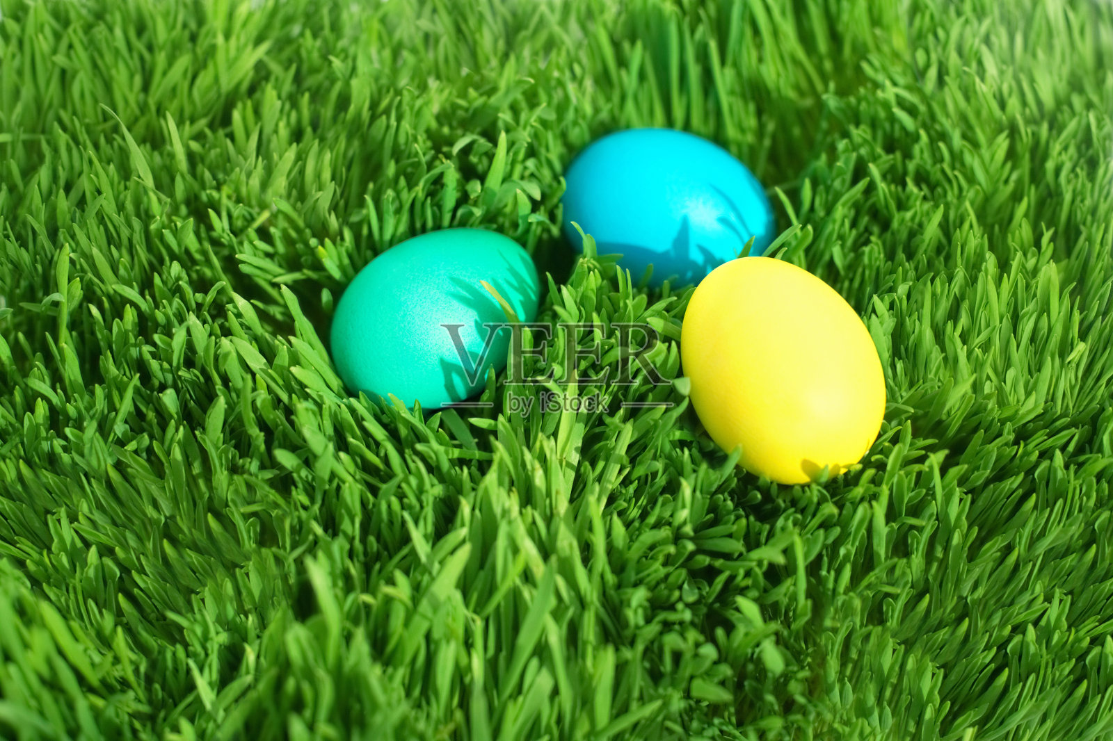 复活节彩蛋是绿色的草照片摄影图片