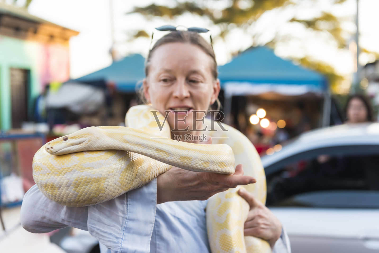 python的女人照片摄影图片