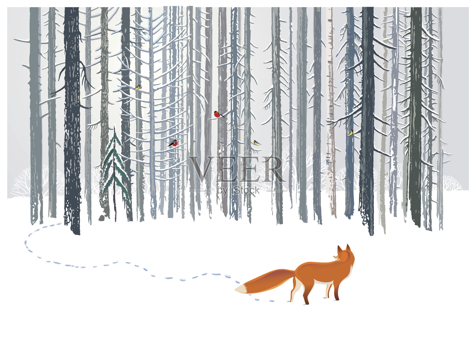 冬天的森林和狐狸。插画图片素材