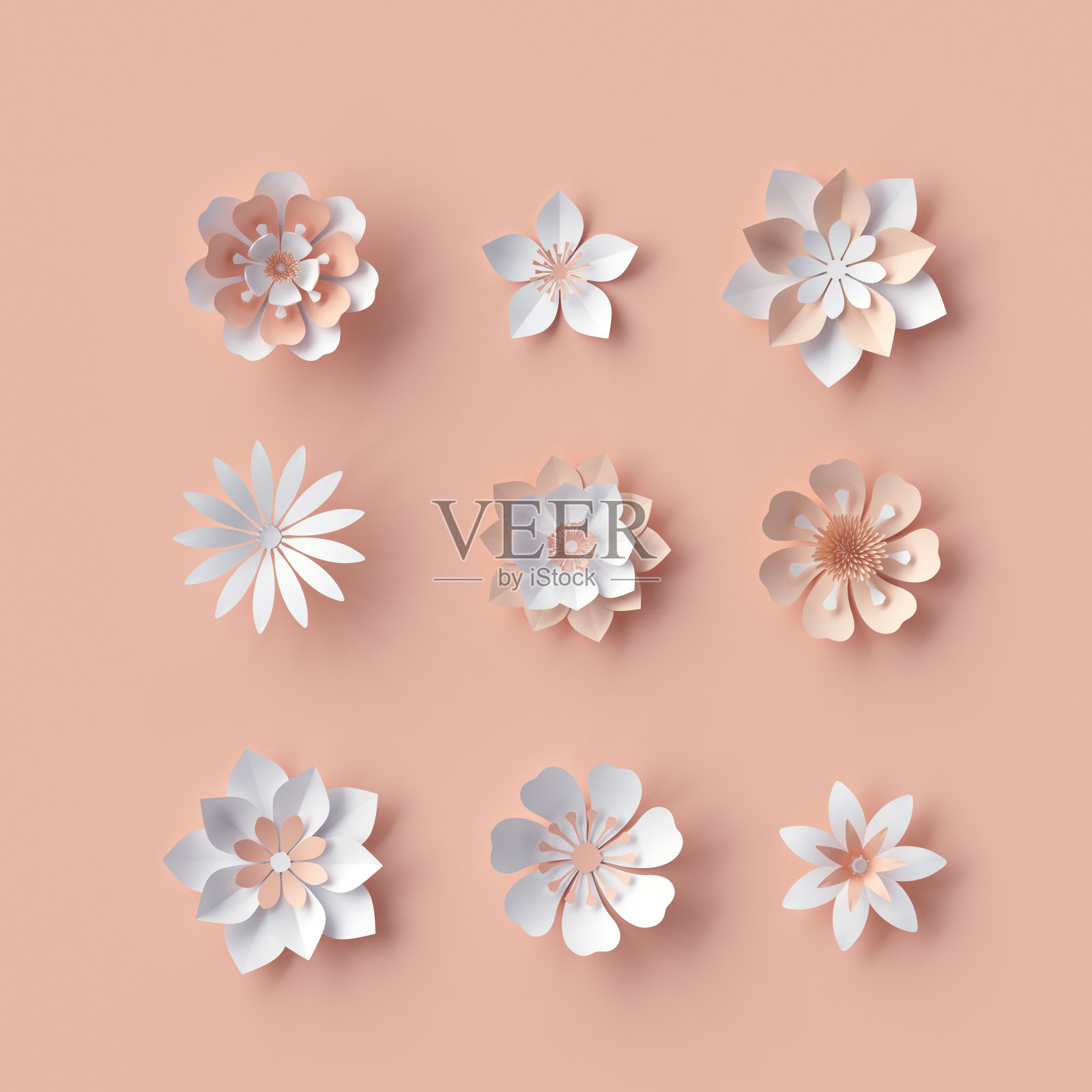 3d渲染，抽象纸花，装饰新娘花束，孤立的花卉设计元素，桃红色背景照片摄影图片
