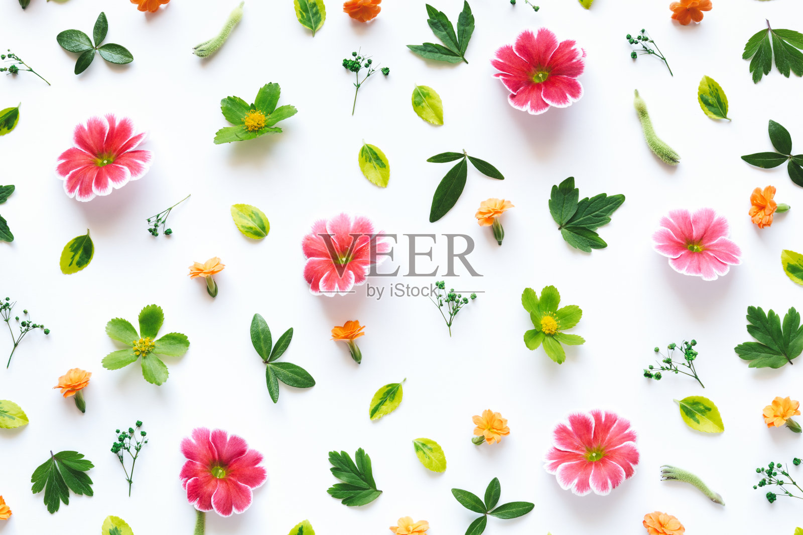 五颜六色的花卉图案照片摄影图片