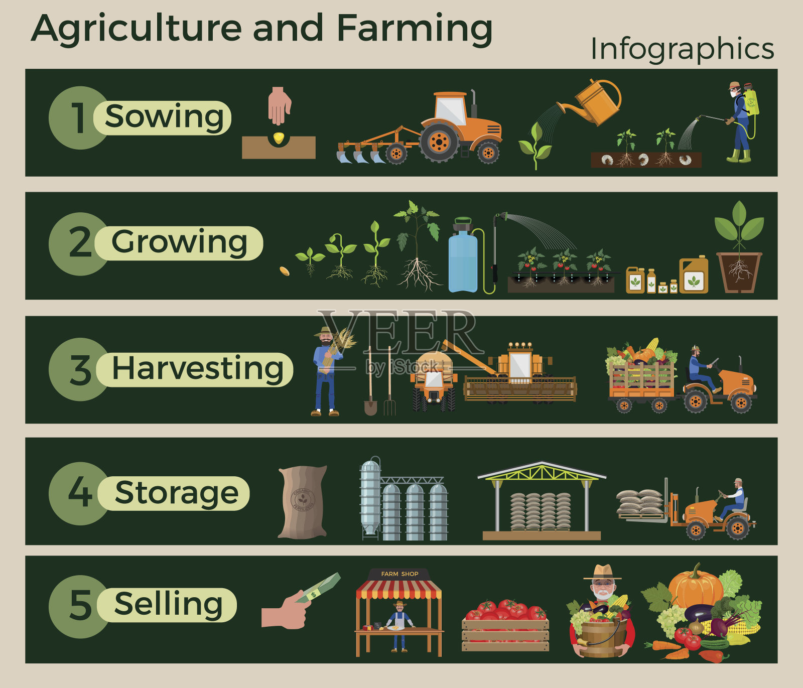 农业和农业。插画图片素材