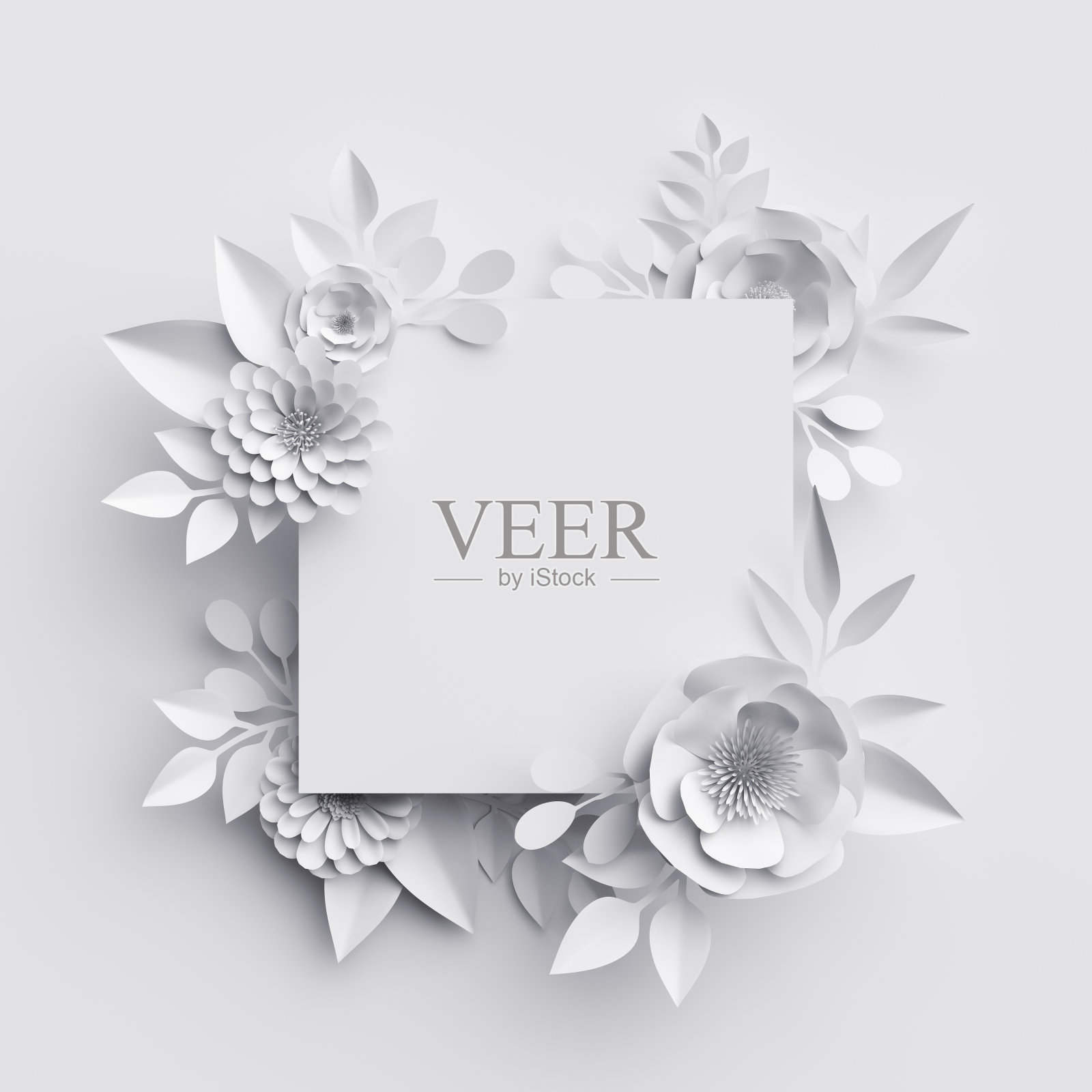 3d渲染，抽象的白纸花，方形框架，花卉背景，装饰，贺卡模板，空白横幅照片摄影图片