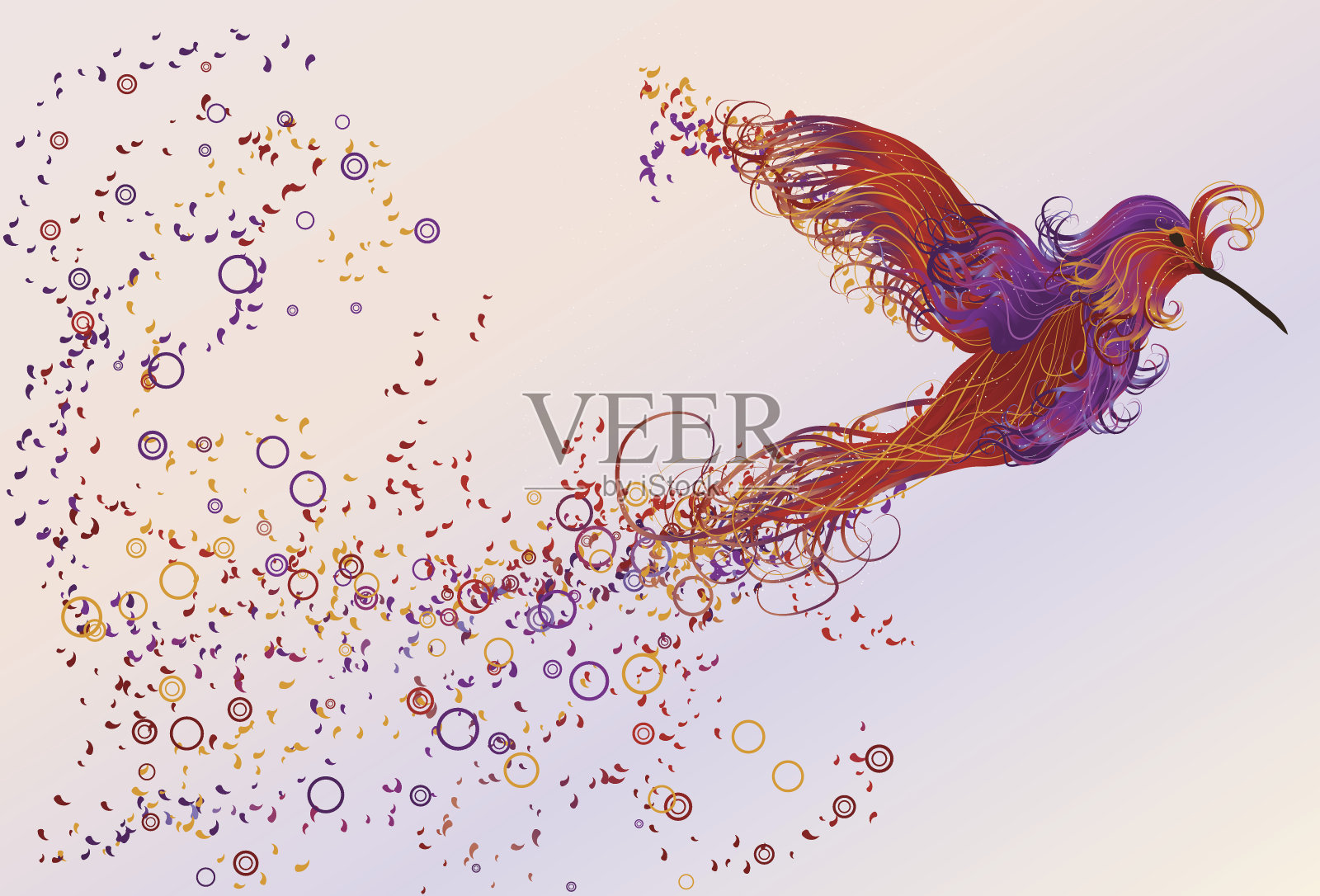 抽象的旋涡蜂鸟插图插画图片素材