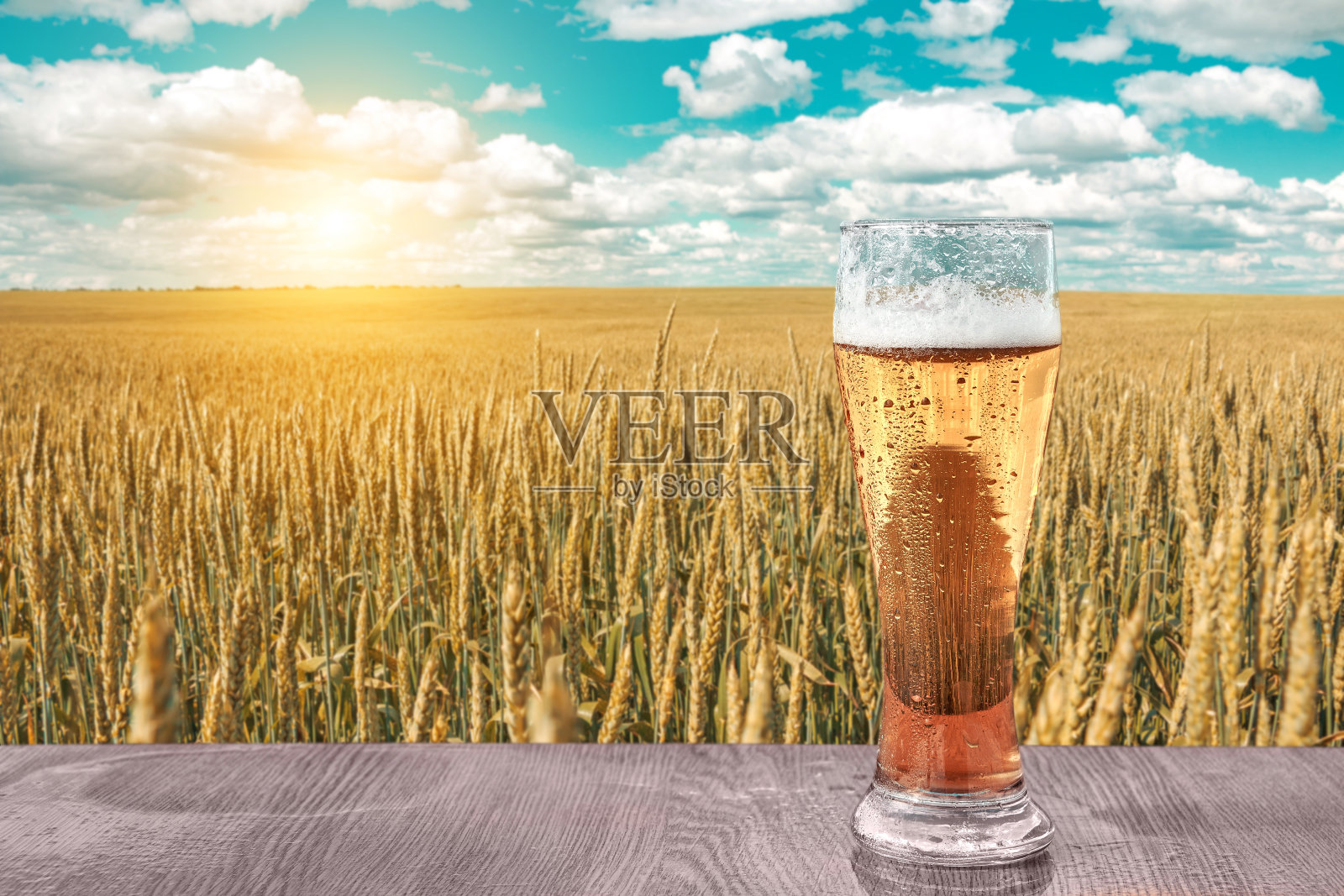 一杯冰镇啤酒，夕阳下的麦田和蓝天。夏天的风景。娱乐和放松。新鲜酿制啤酒。酒和休息。照片摄影图片