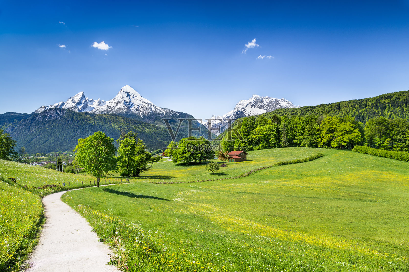 阿尔卑斯山田园般的夏日景色照片摄影图片