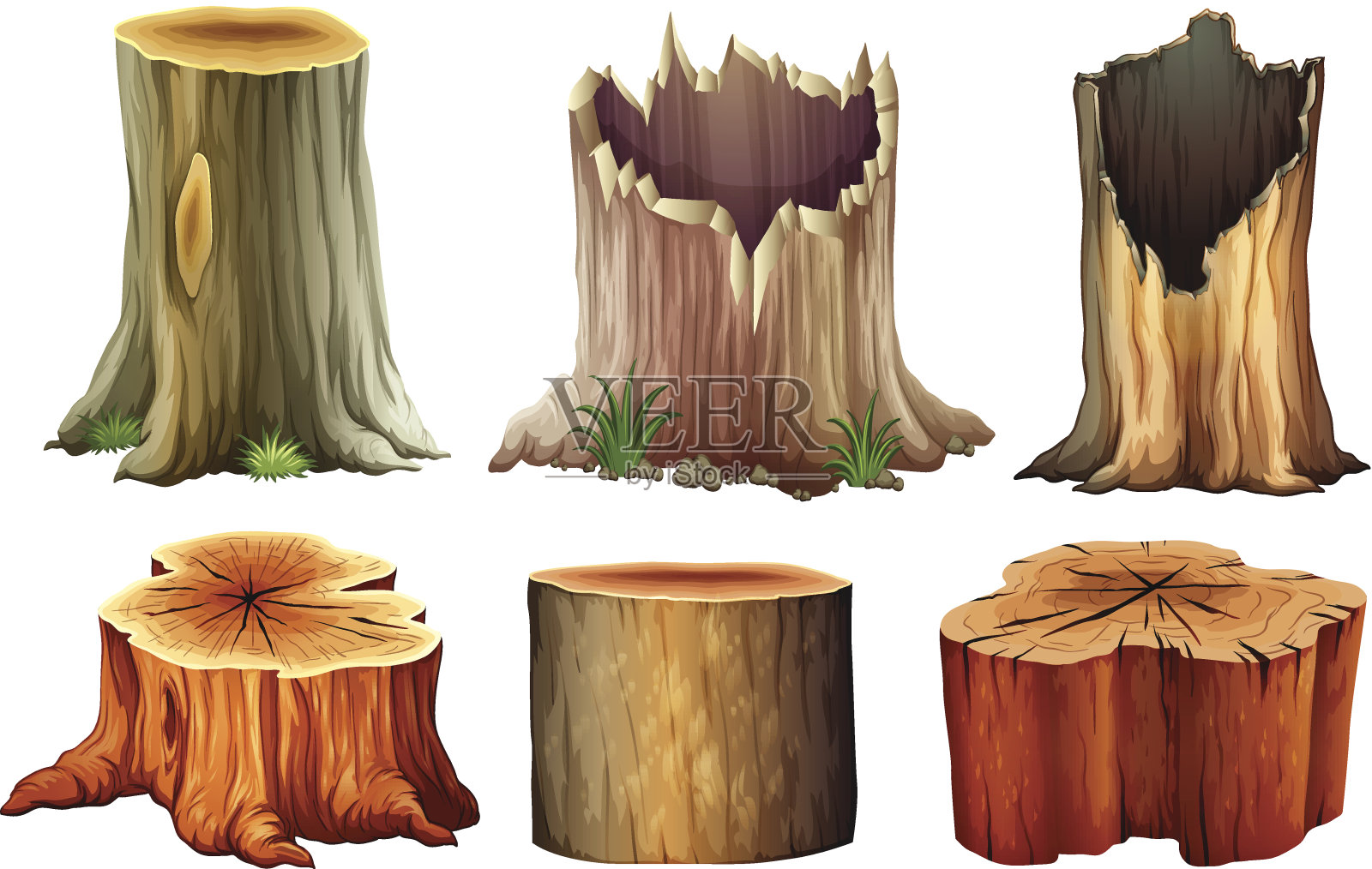 不同的树桩插画图片素材