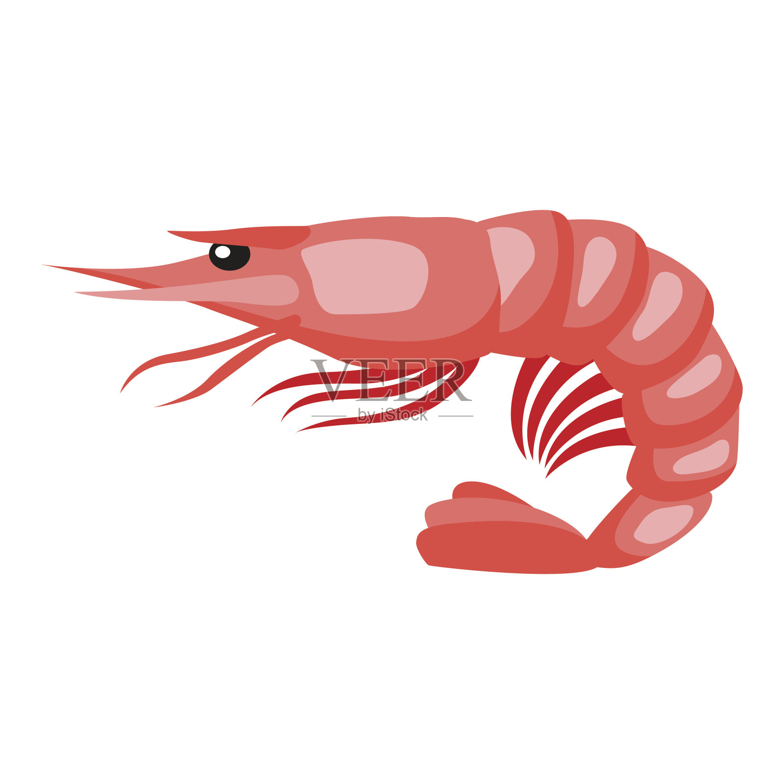 煮熟的虎虾。孤立的例证海鲜在白色的背景插画图片素材