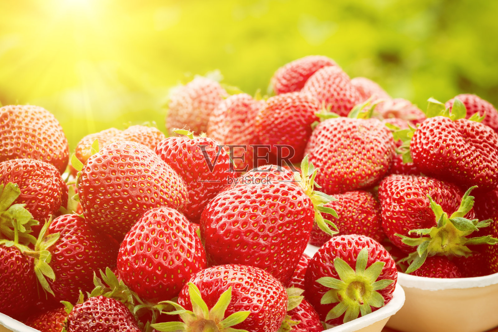 阳光下的新鲜草莓，夏季维生素水果照片摄影图片