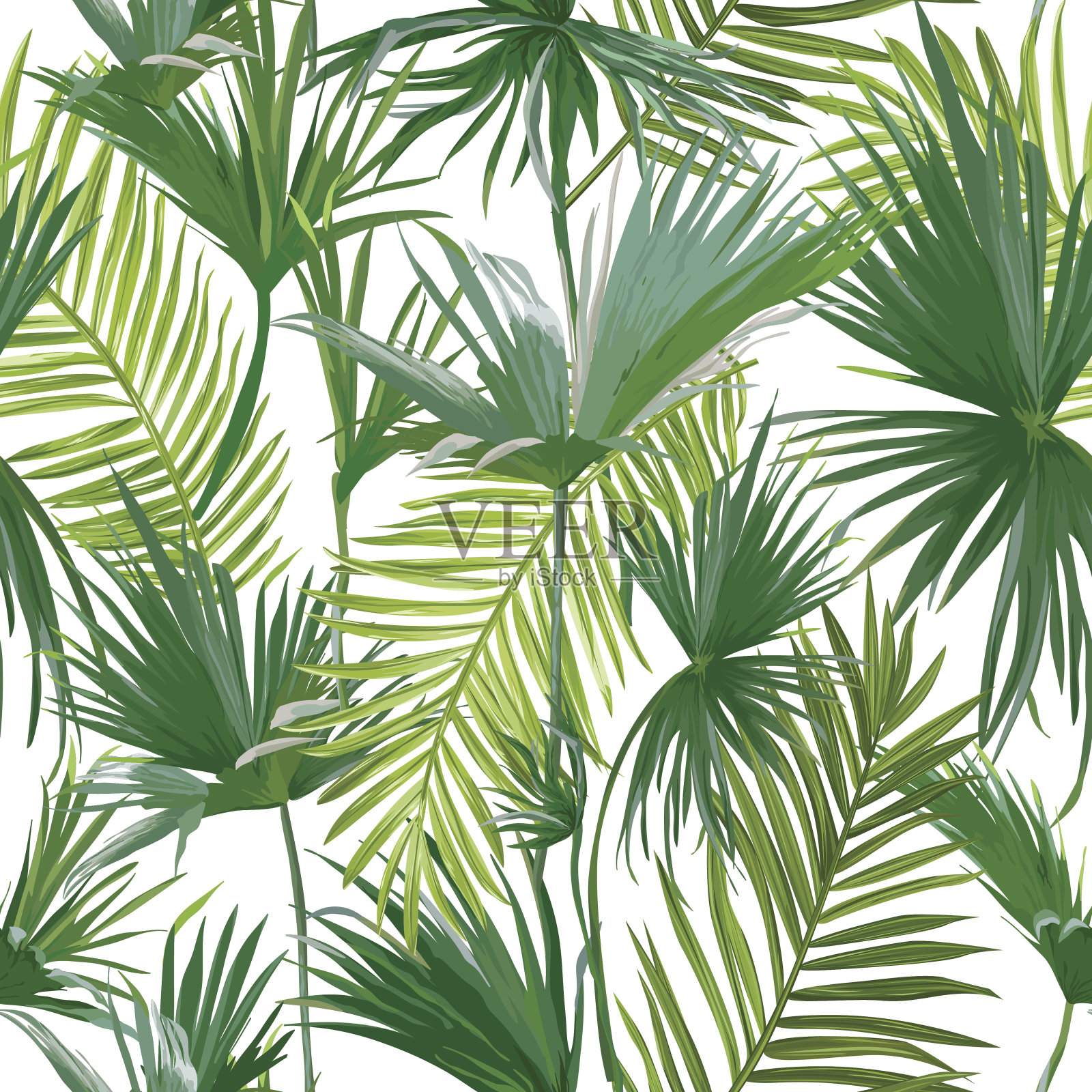 热带棕榈叶，丛林叶无缝矢量花卉图案背景插画图片素材