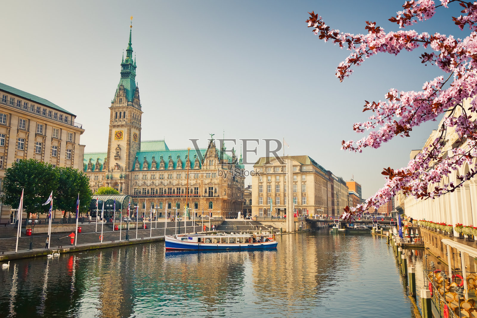 春天的汉堡市政厅照片摄影图片
