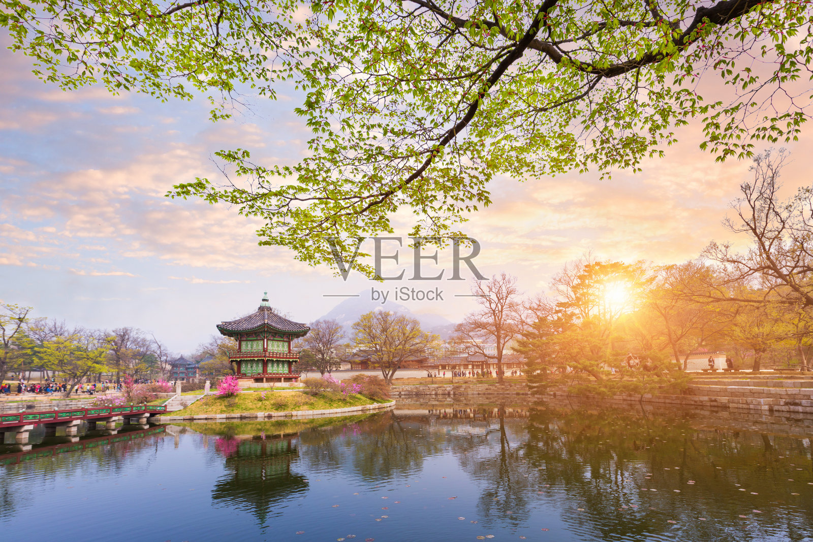 韩国庆福宫的春天。照片摄影图片