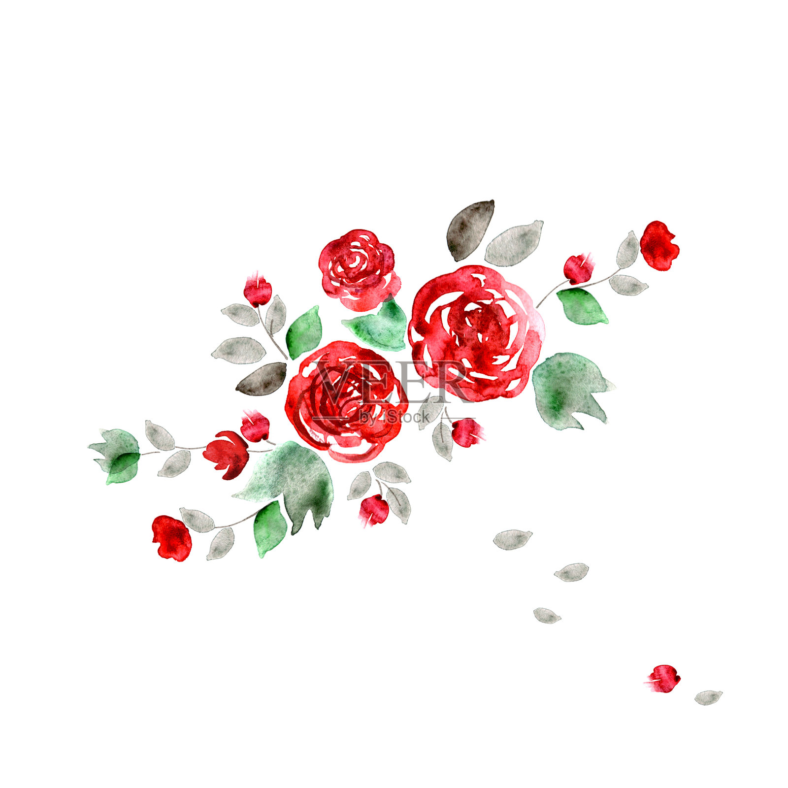 可爱的水彩花。红玫瑰背景插画图片素材