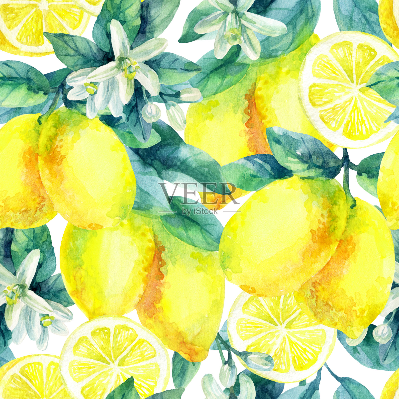 水彩柠檬水果枝与叶无缝图案插画图片素材