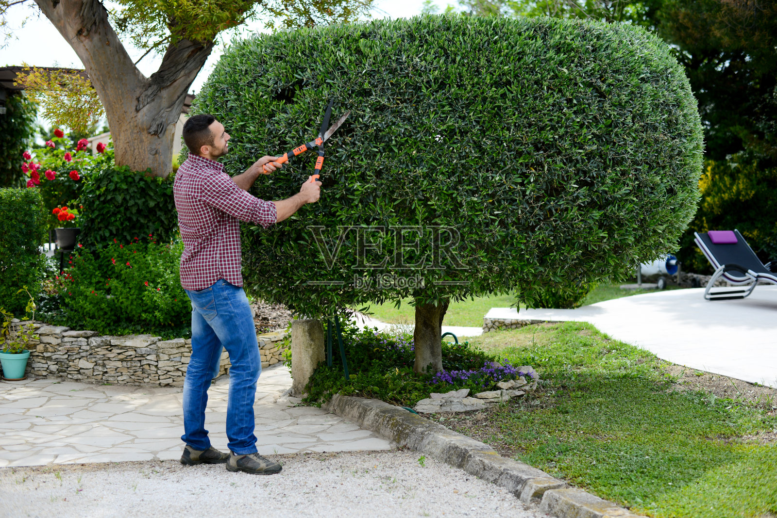 英俊的年轻人园丁修剪和美化树木与剪刀照片摄影图片