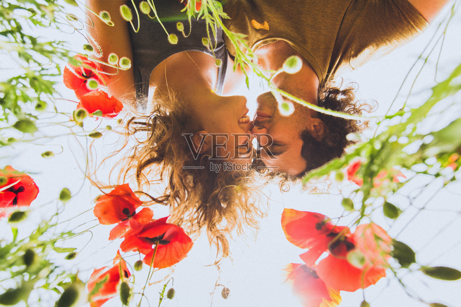 春天里，一对年轻幸福的夫妇卷着头发，欣赏着盛开的红黄相间的罂粟花照片摄影图片