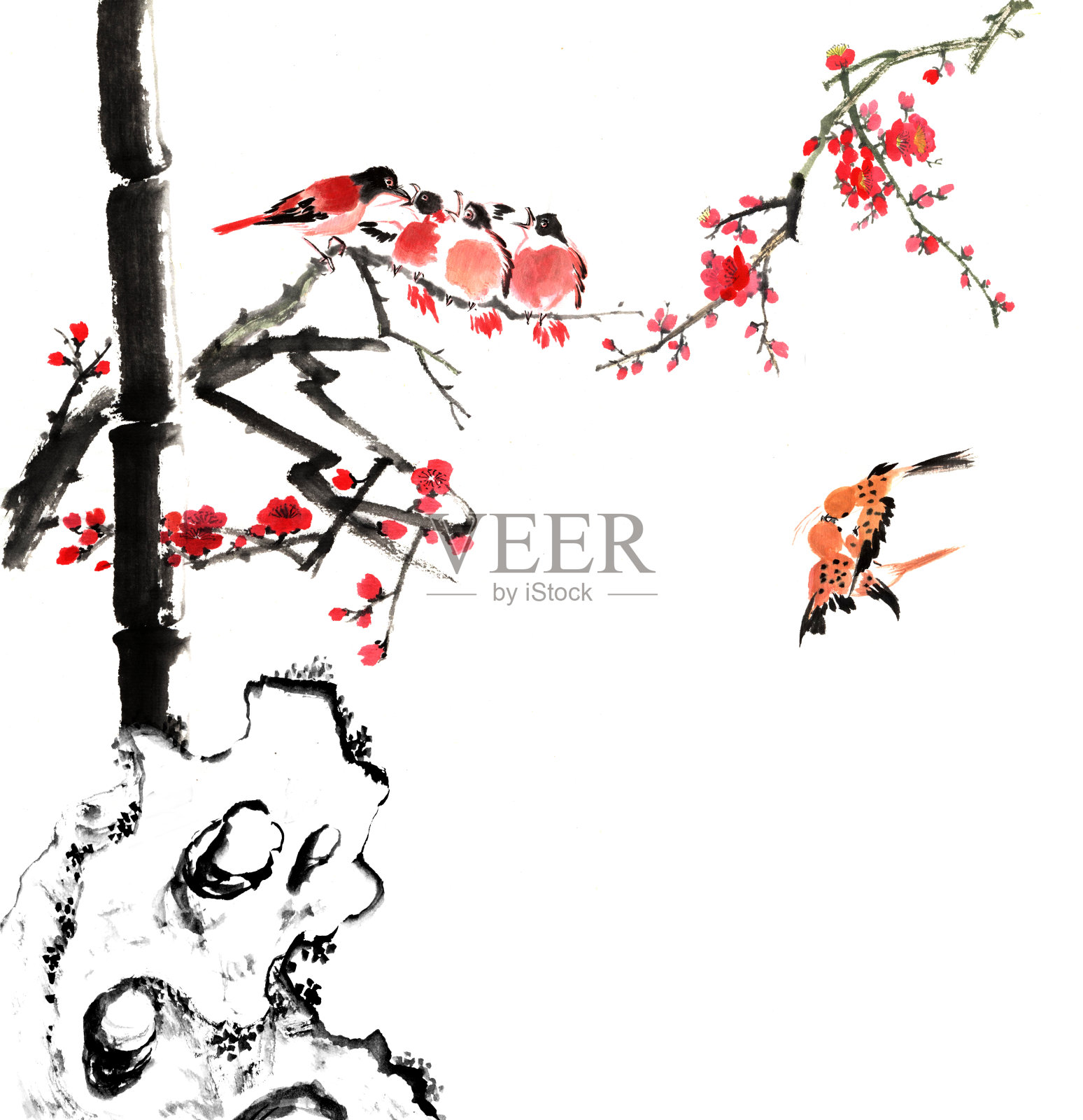 竹与梅开花，石与鸟插画图片素材