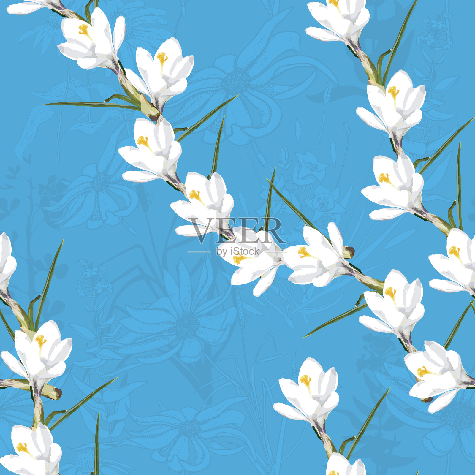 无缝模式与白花在明亮的蓝色背景插画图片素材