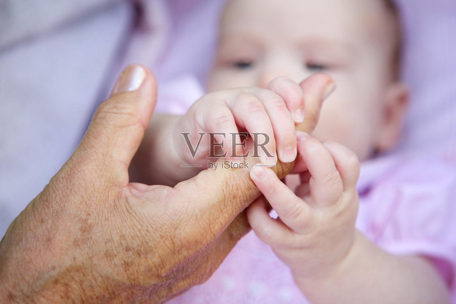婴儿的手牵着祖母照片摄影图片