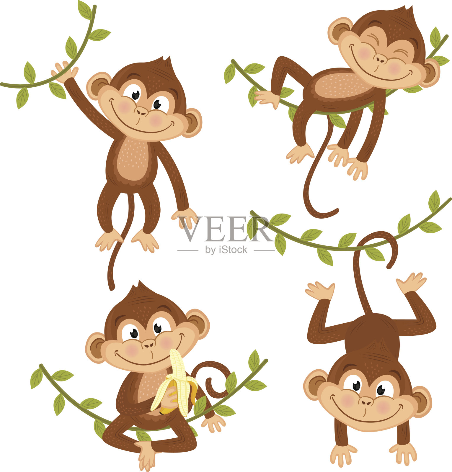 一组孤立的猴子挂在藤蔓上设计元素图片