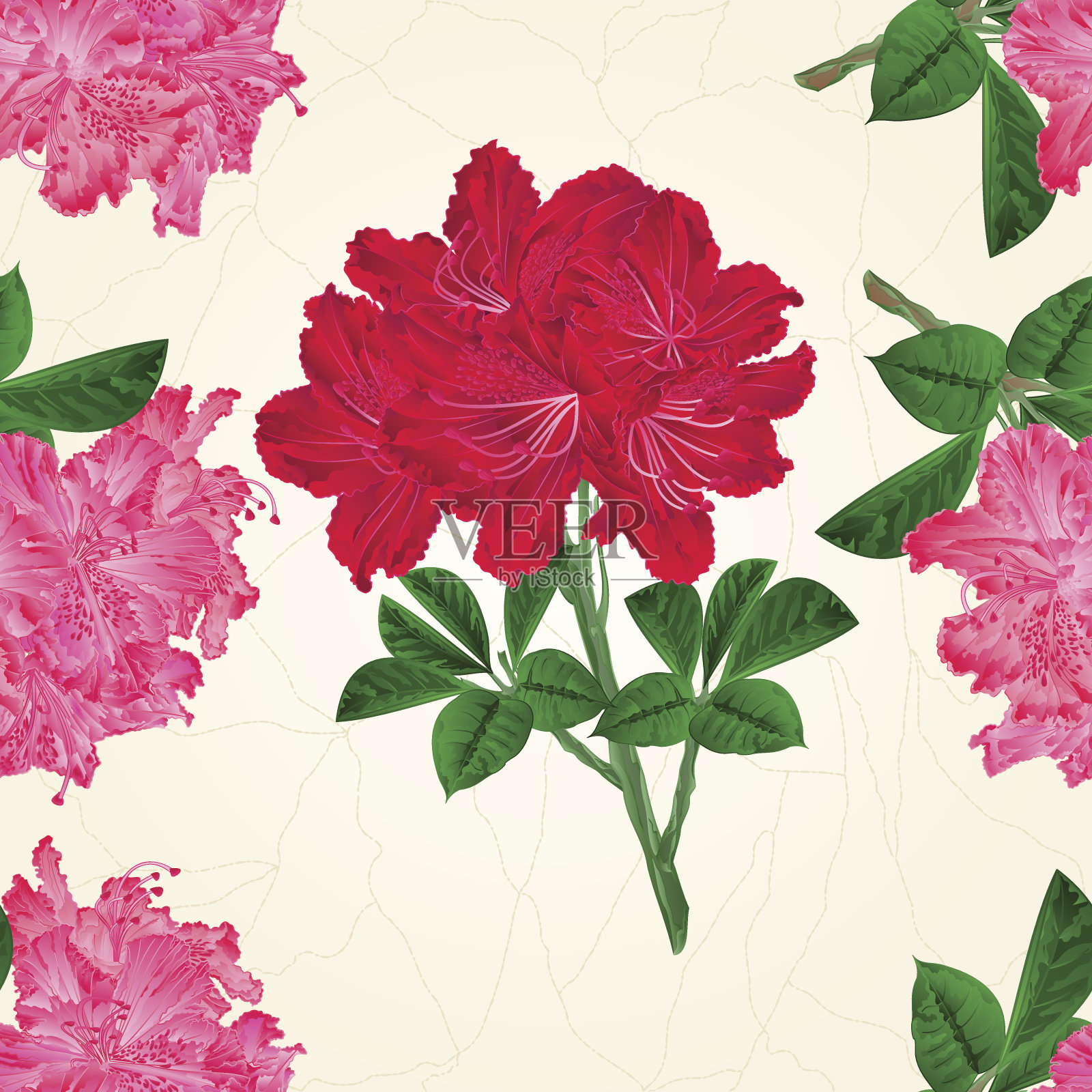 无缝纹理花粉红和红色杜鹃花嫩枝山地灌木vintage vector插画图片素材
