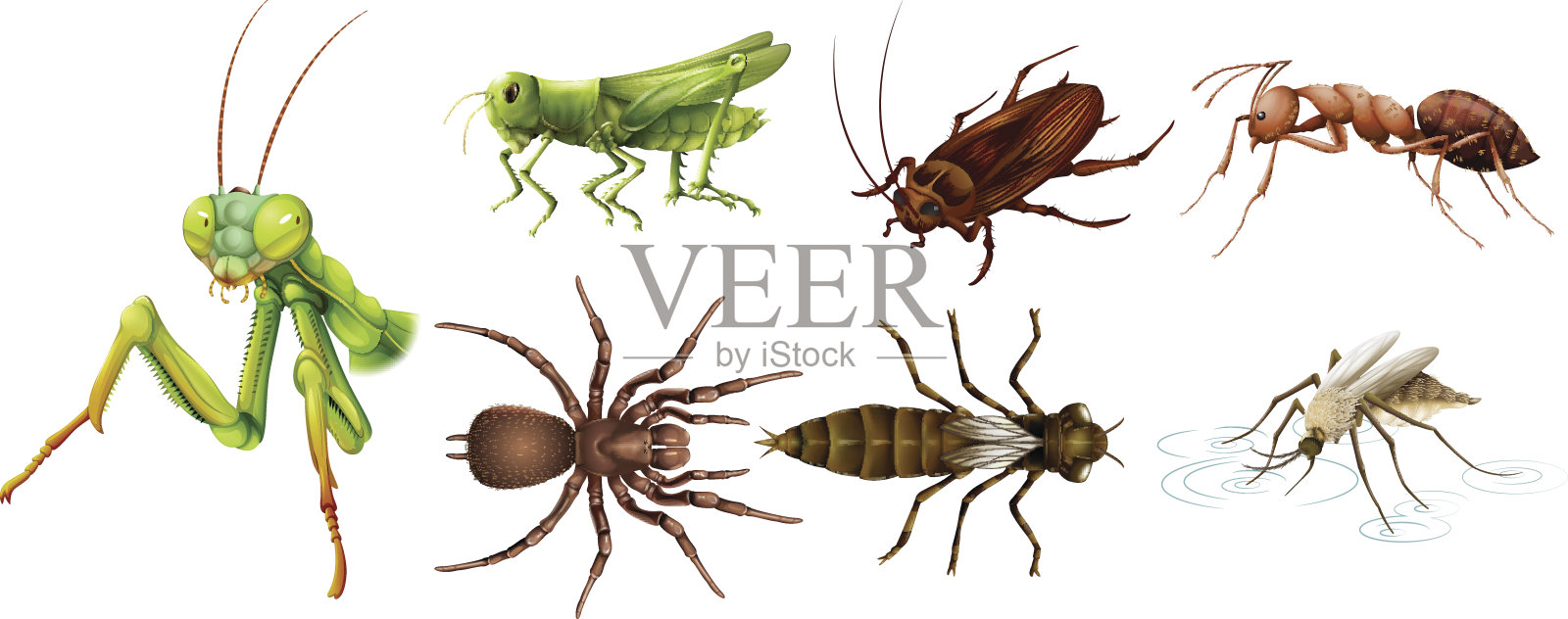 不同种类的昆虫设计元素图片