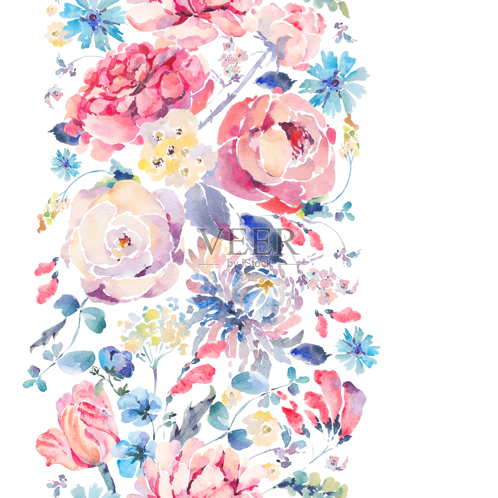 水彩无缝垂直边框菊花，玫瑰插画图片素材
