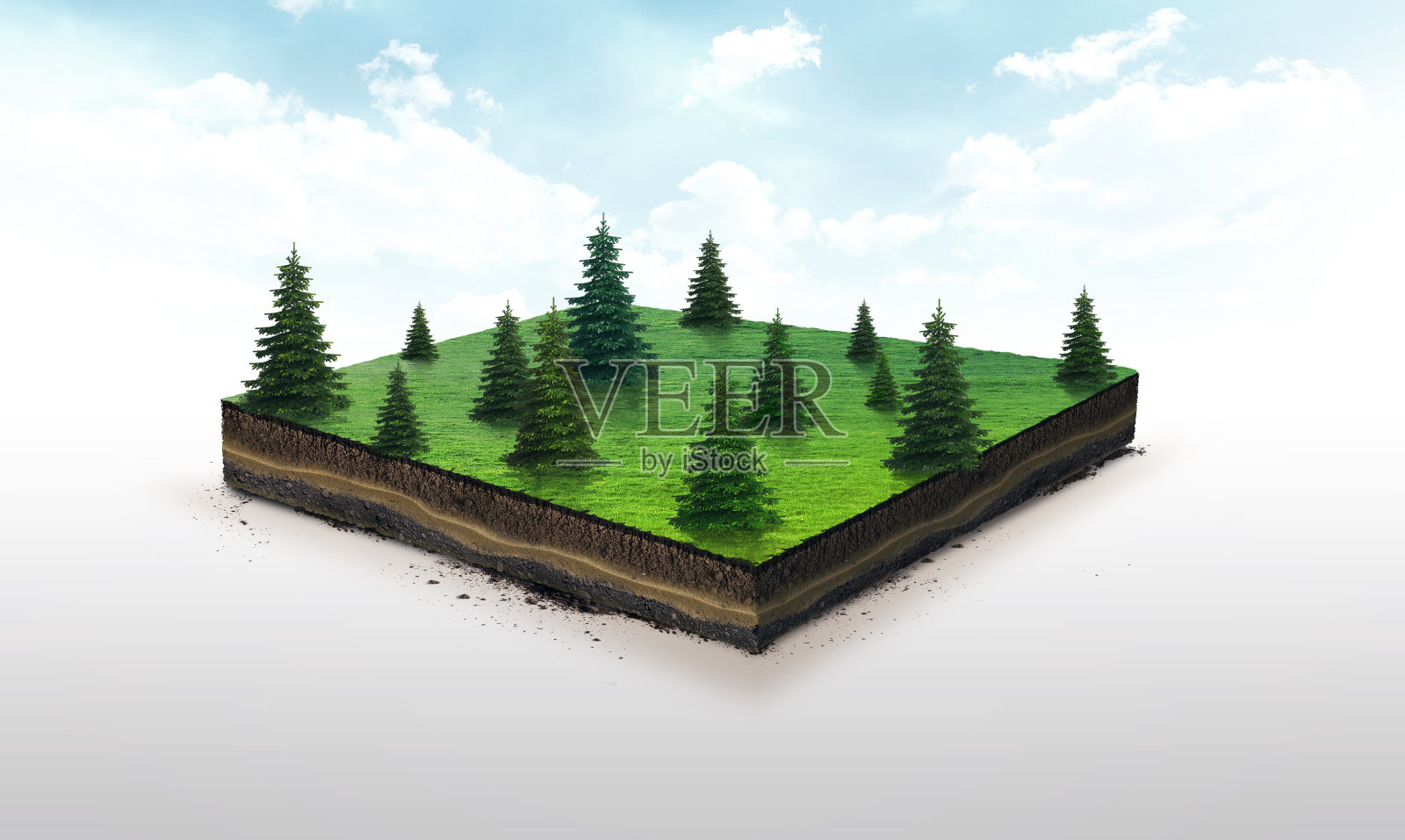 土壤切片的3d插图，绿色草地与云杉孤立的白色背景照片摄影图片