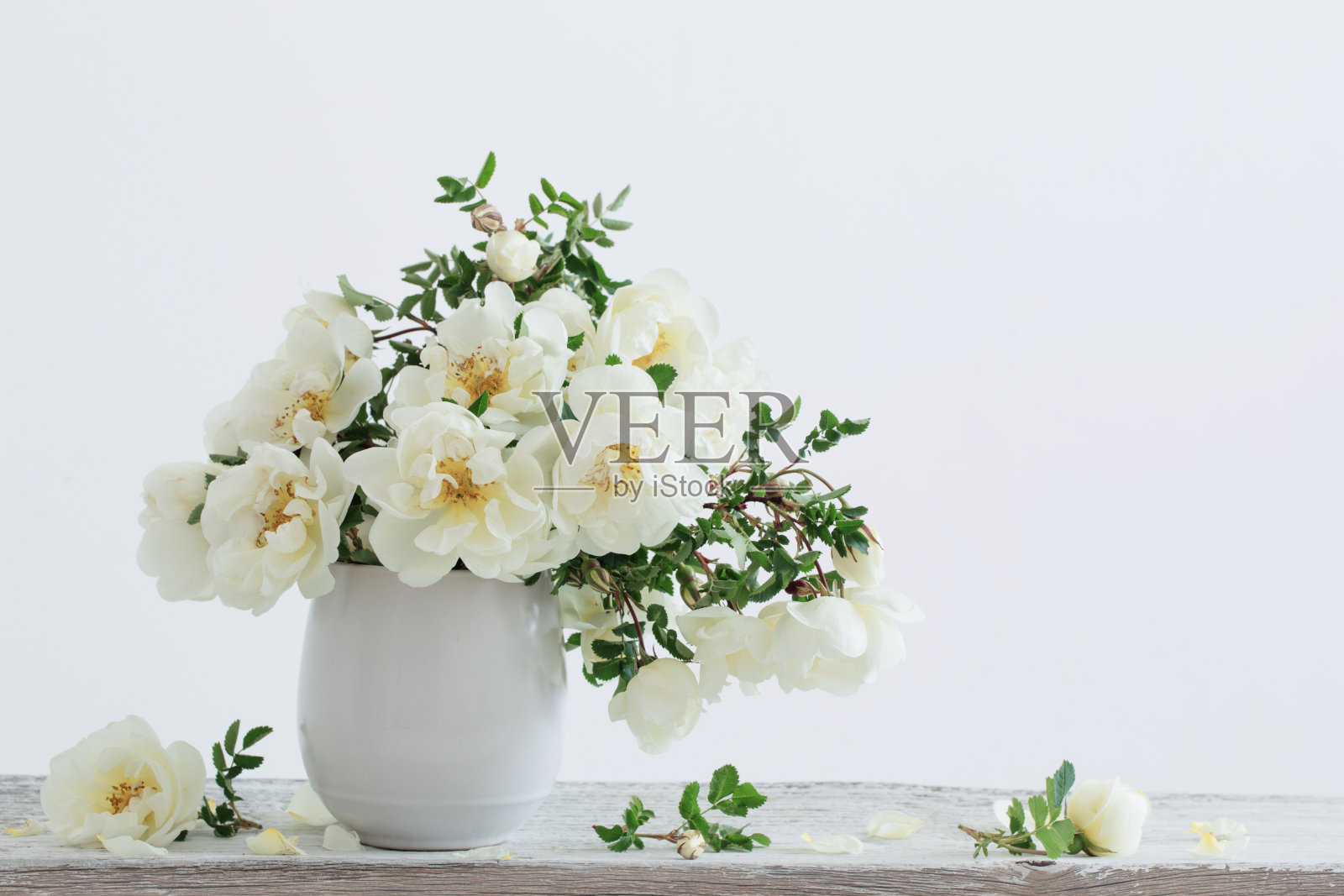 花瓶里的白玫瑰照片摄影图片