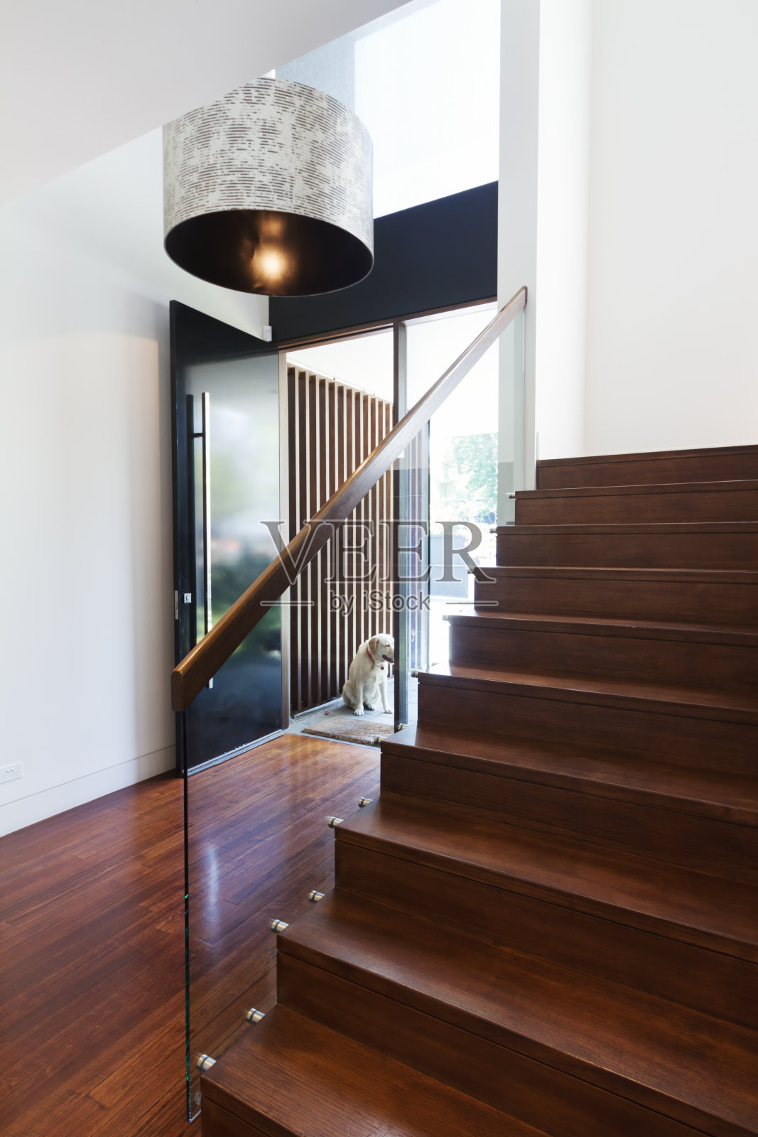 楼梯和入口，一个美丽的现代家庭在澳大利亚照片摄影图片