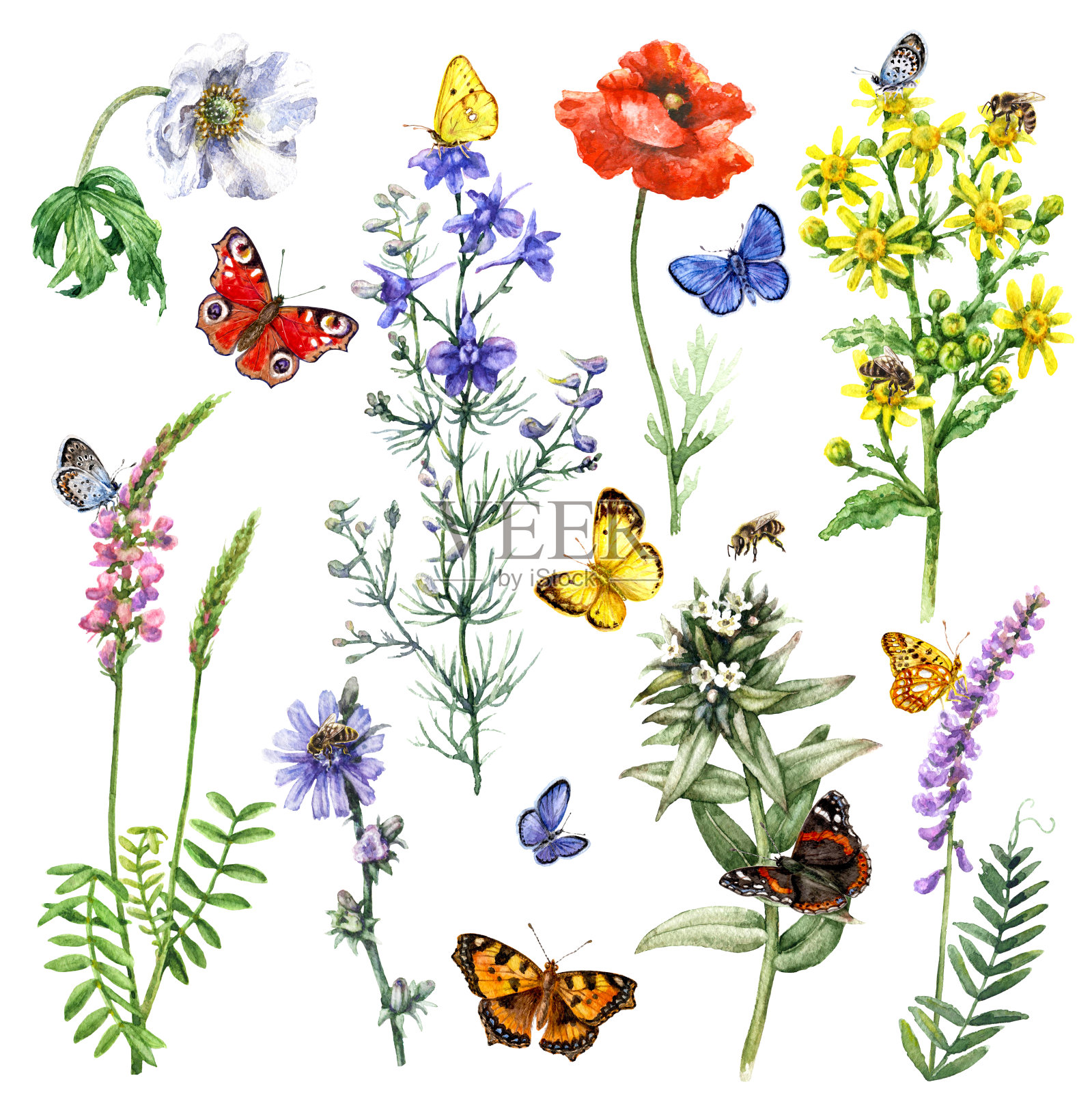 水彩画花和昆虫插画图片素材