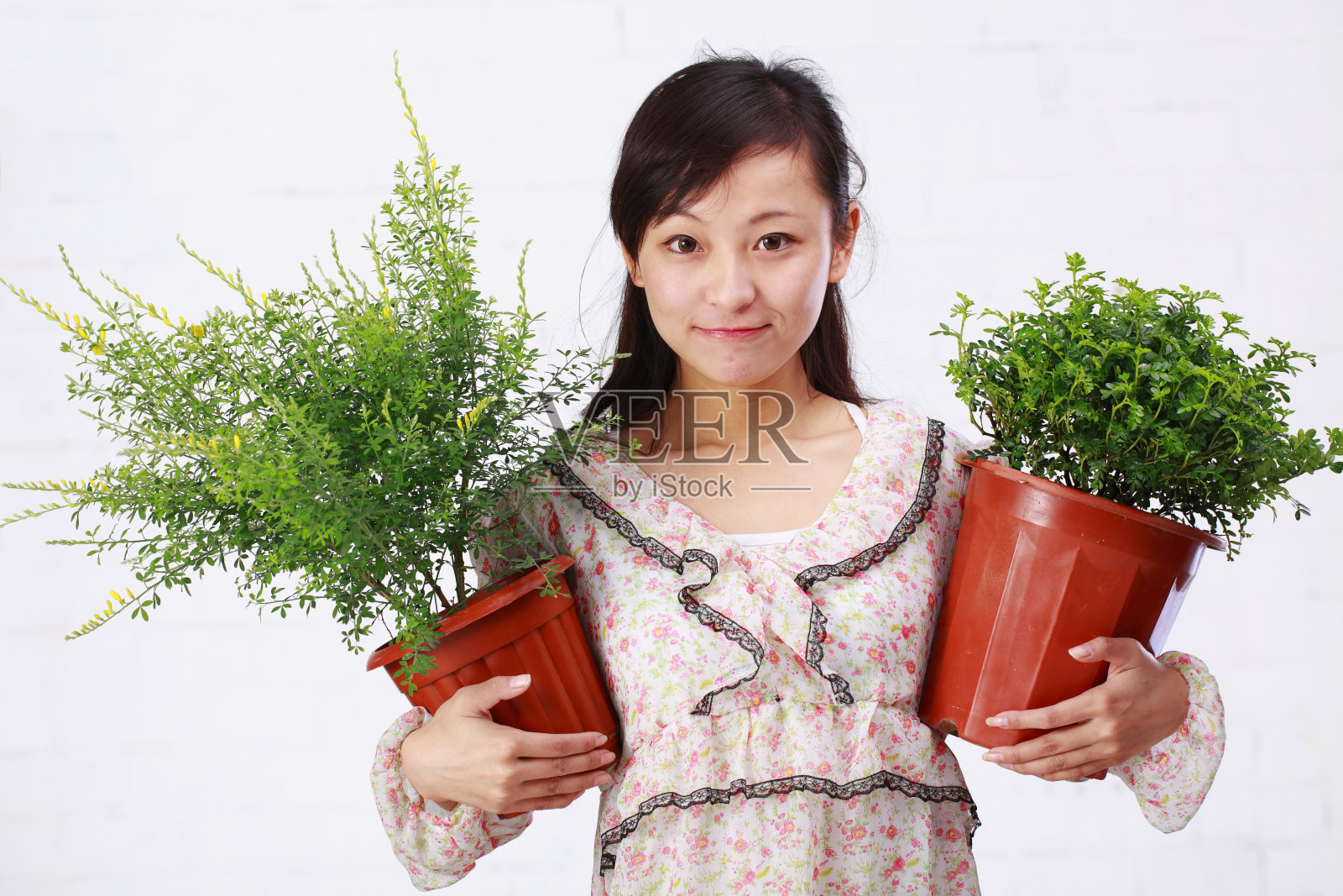 漂亮女孩抱着植物的照片照片摄影图片