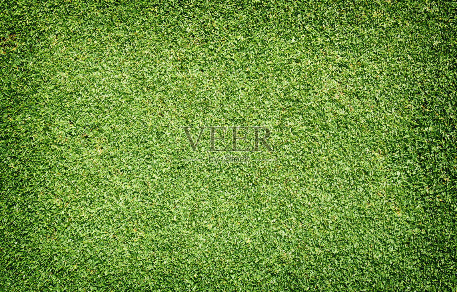 高尔夫球场草坪设计元素图片
